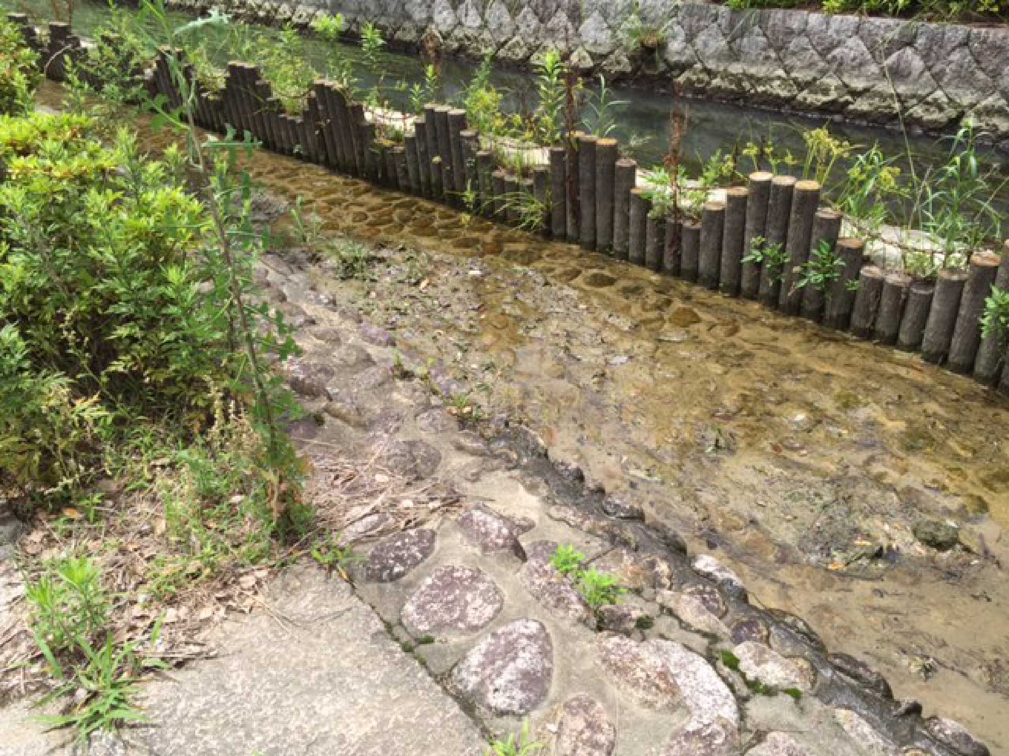 花里小学校前の小川