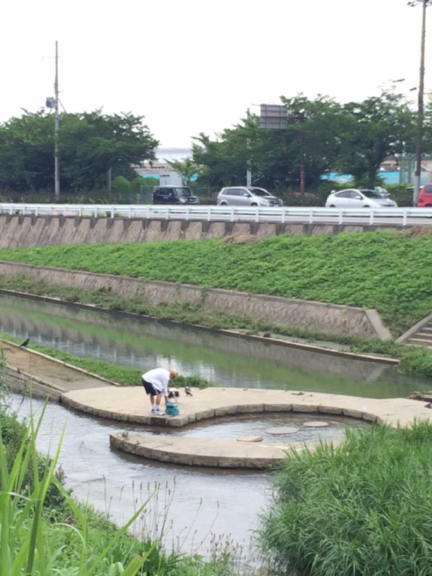 天王寺川の川遊びスポット